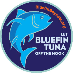 Boycott Bluefin Tuna on Ledbury Portal