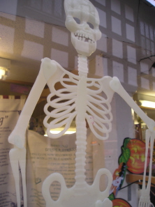  Skeleton